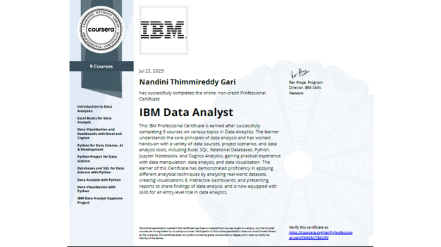 Nandini Thimmireddy Gari Portfolio