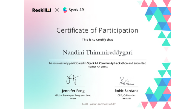 Nandini Thimmireddy Gari Portfolio